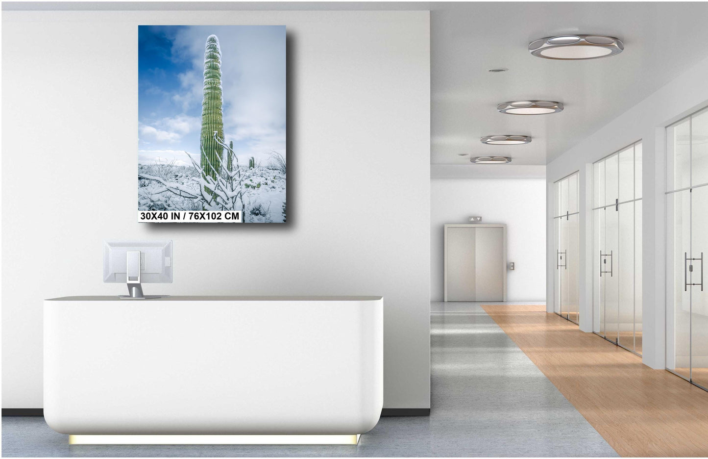 Snowy Saguaro Statue: Saguaro National Park Giant Cactus Tucson Arizona Print Wall Art Photography Aluminum/Acrylic/Metal/Canvas