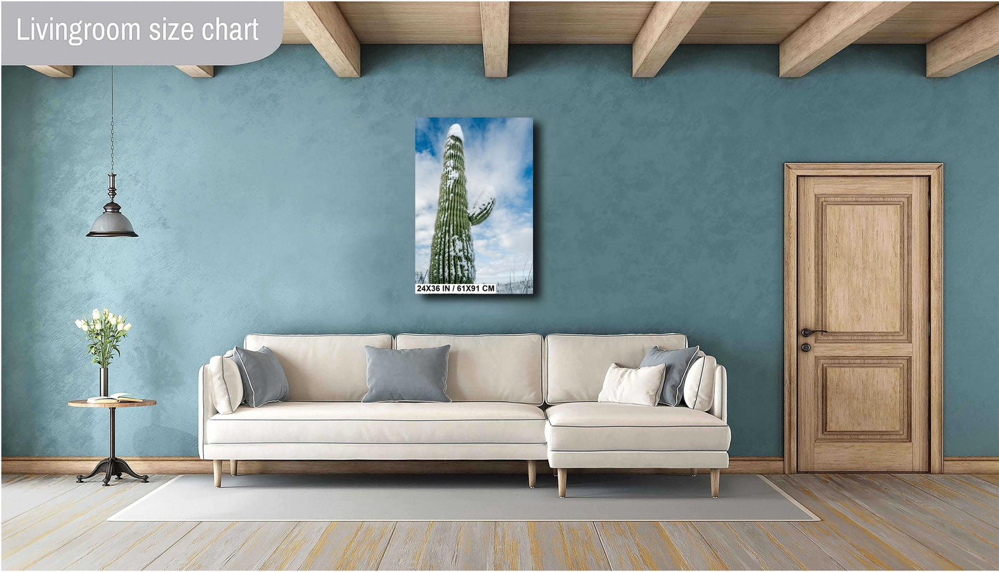 Snow-Capped Saguaros: Saguaro National Park in Tucson Arizona Winter Print Wall Art Snow Photography Aluminum/Acrylic/Metal/Canvas