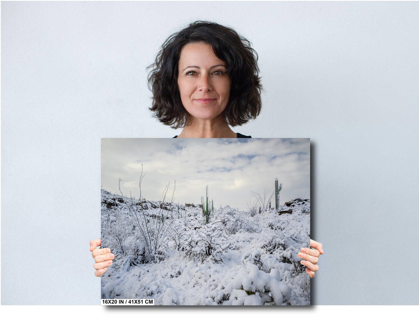 A Desert’s Frosted Moment: Saguaro National Park Print Wall Art Tucson Winter Snow Desert Photography Aluminum/Acrylic/Metal/Canvas