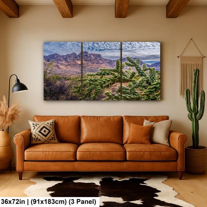 Cholla Cactus in Catalina State Park, Arizona, Photography Print, Sonoran Desert Mountain Landscape Wall Art
