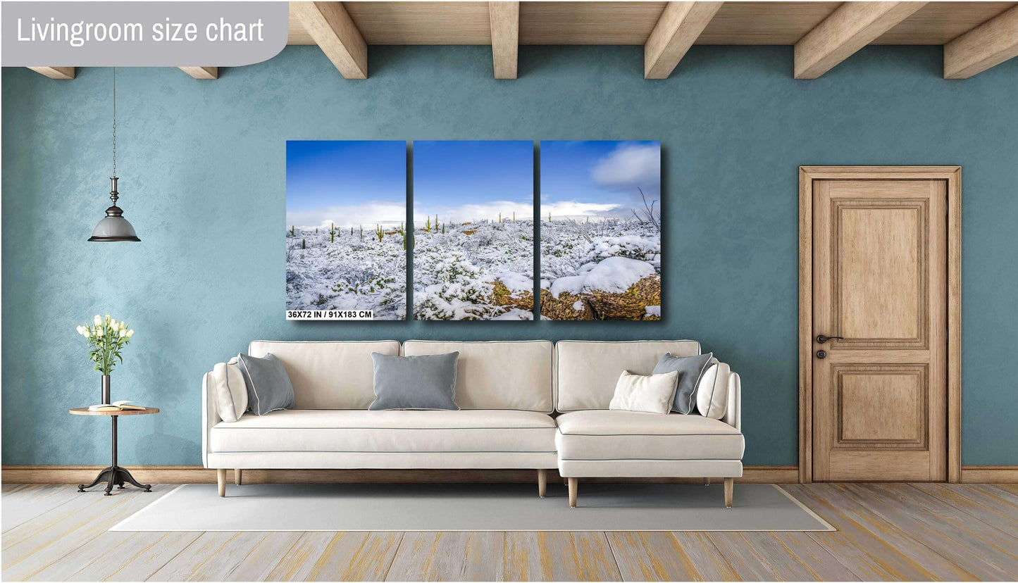 Desert Frost: Winter at Saguaro National Park Tucson Arizona Print Wall Art Winter Snow Photography Aluminum/Acrylic/Metal/Canvas Home Decor