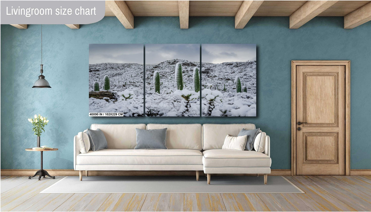 A Frosty Transformation in Saguaro National Park Print Wall Art Tucson Winter Snow Desert Photography Aluminum/Acrylic/Metal/Canvas