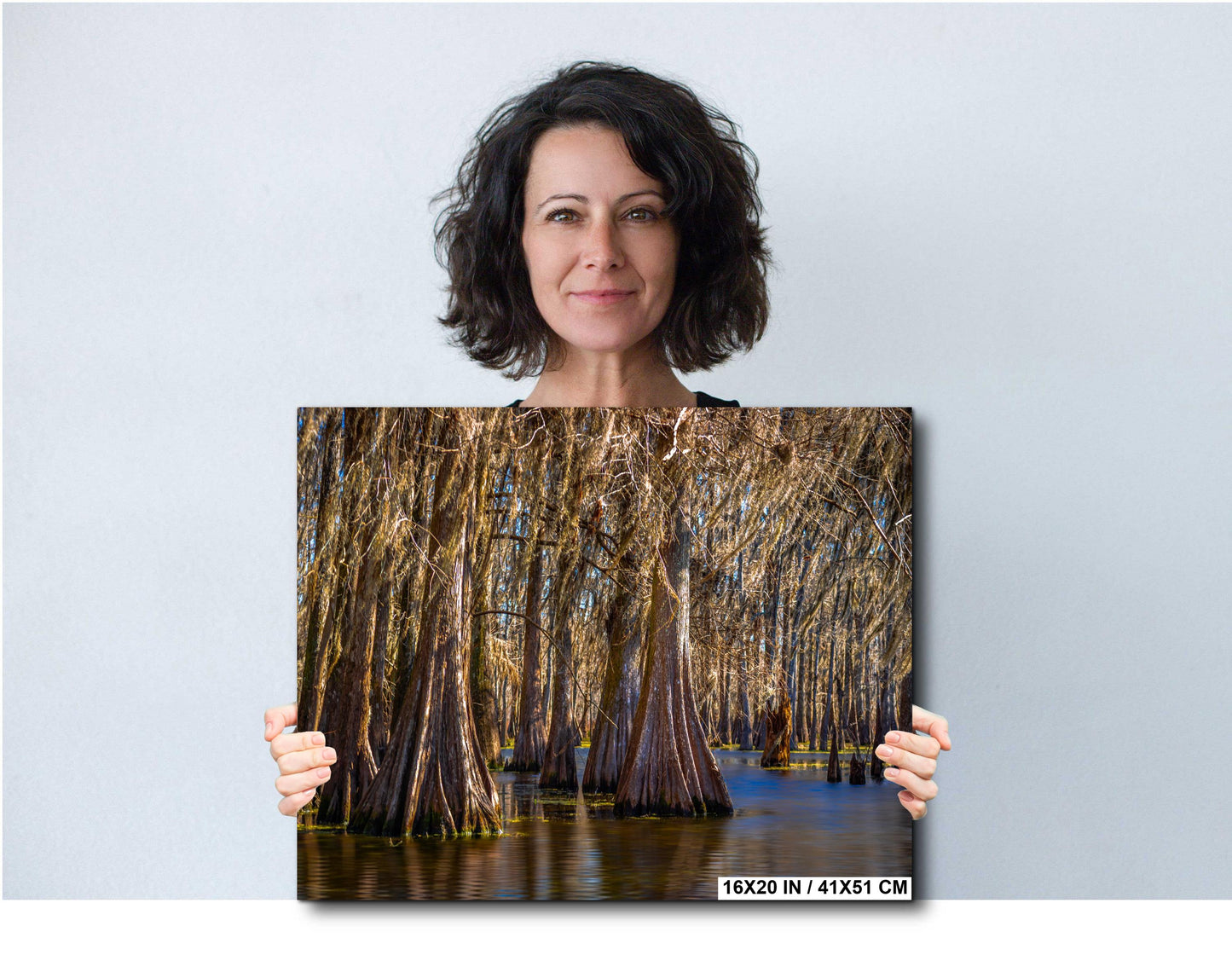 Lake Martin Louisiana Cypress Swamp Trees