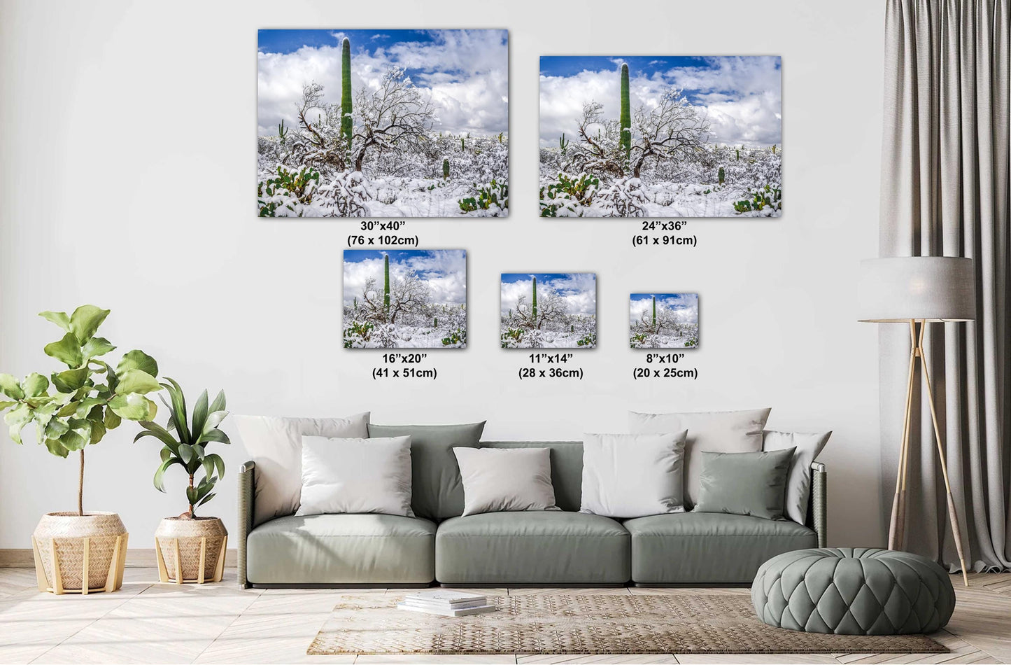 Saguaro Standing Tall in Winter’s Embrace: Saguaro National Park Print Wall Art Tucson Snow Desert Photography Aluminum/Acrylic/Metal/Canvas