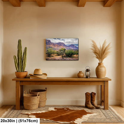 Arizona Desert Wall Art - Catalina Mountains Print | Sonoran Desert Landscape Photography