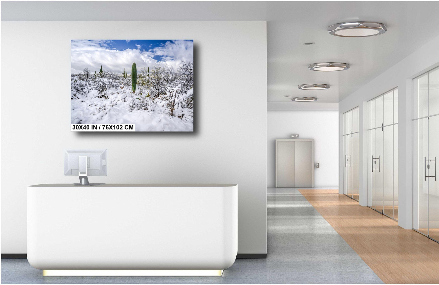 Winter’s Charm in the Desert: Saguaro National Park Print Wall Art Tucson Winter Snow Desert Photography Aluminum/Acrylic/Metal/Canvas