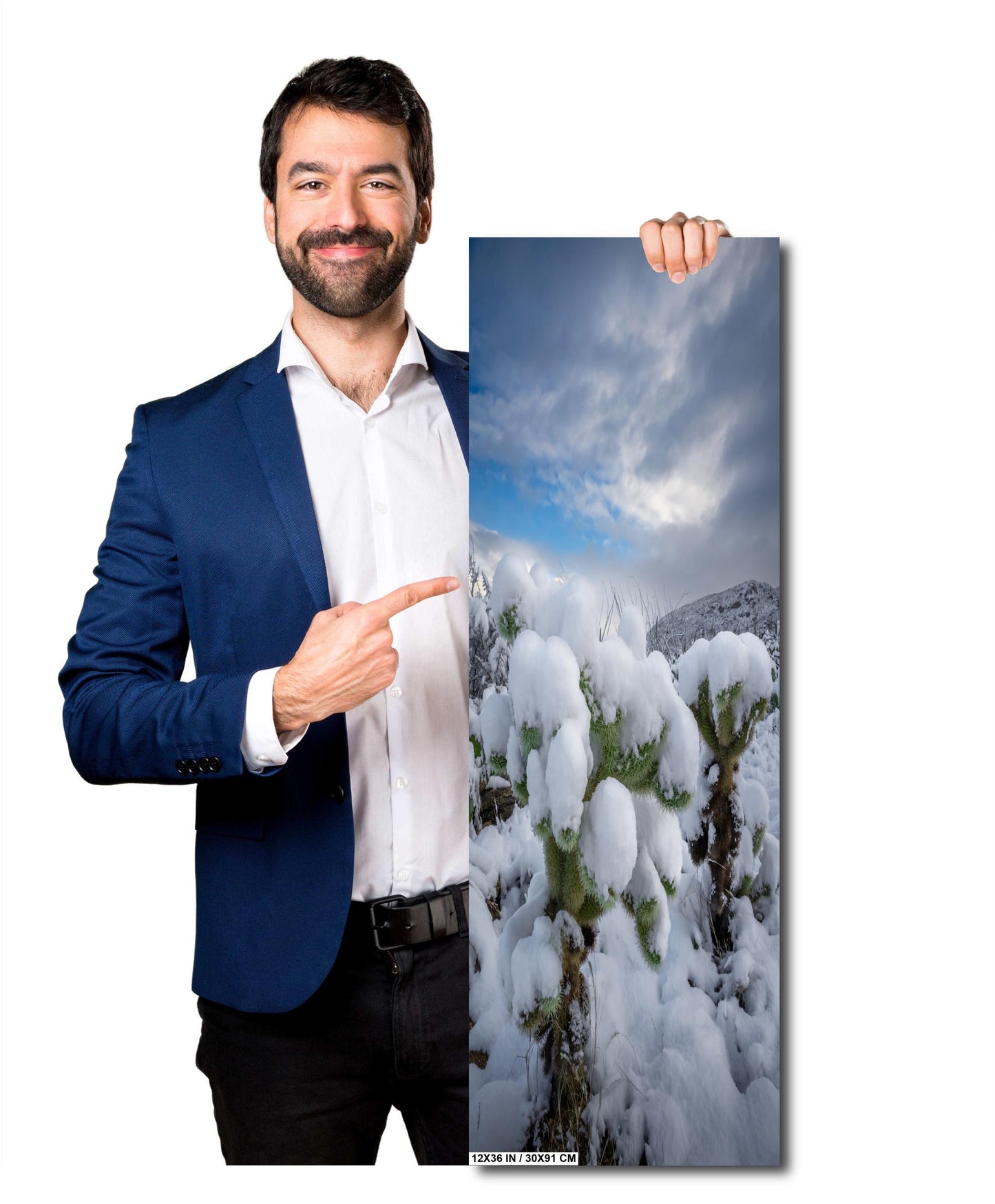 A White Canvas: Snow-Capped Jumping Cholla Saguaro National Park Tucson Arizona Print Wall Art Photography Aluminum/Acrylic/Metal/Canvas