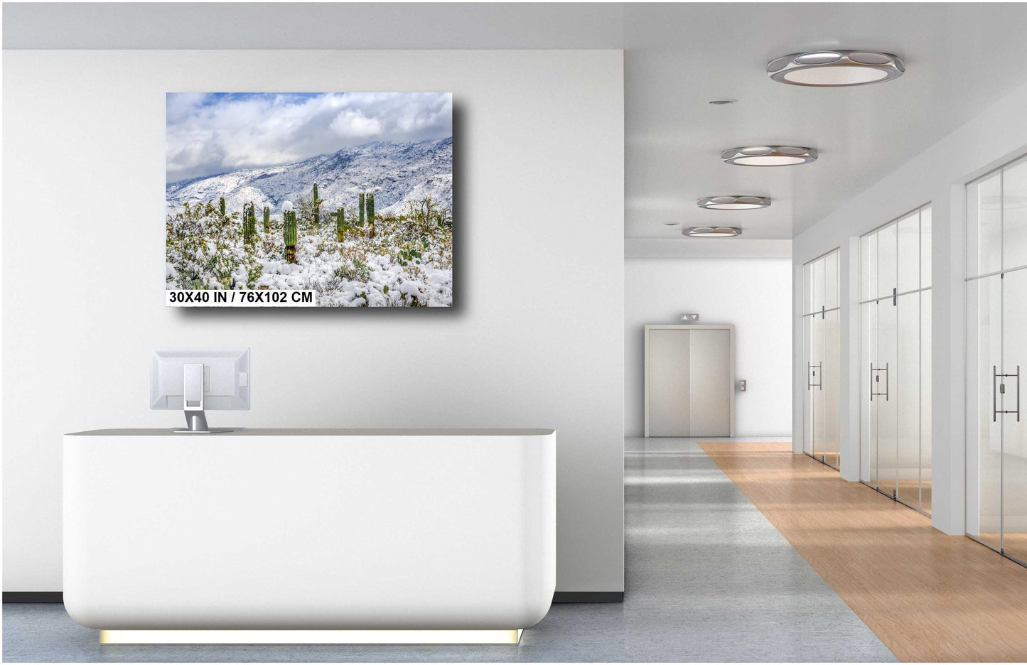 Saguaro Guardians of the Frosted Canyon: Saguaro National Park Print Wall Art Tucson Winter Snow Desert Aluminum/Acrylic/Metal/Canvas