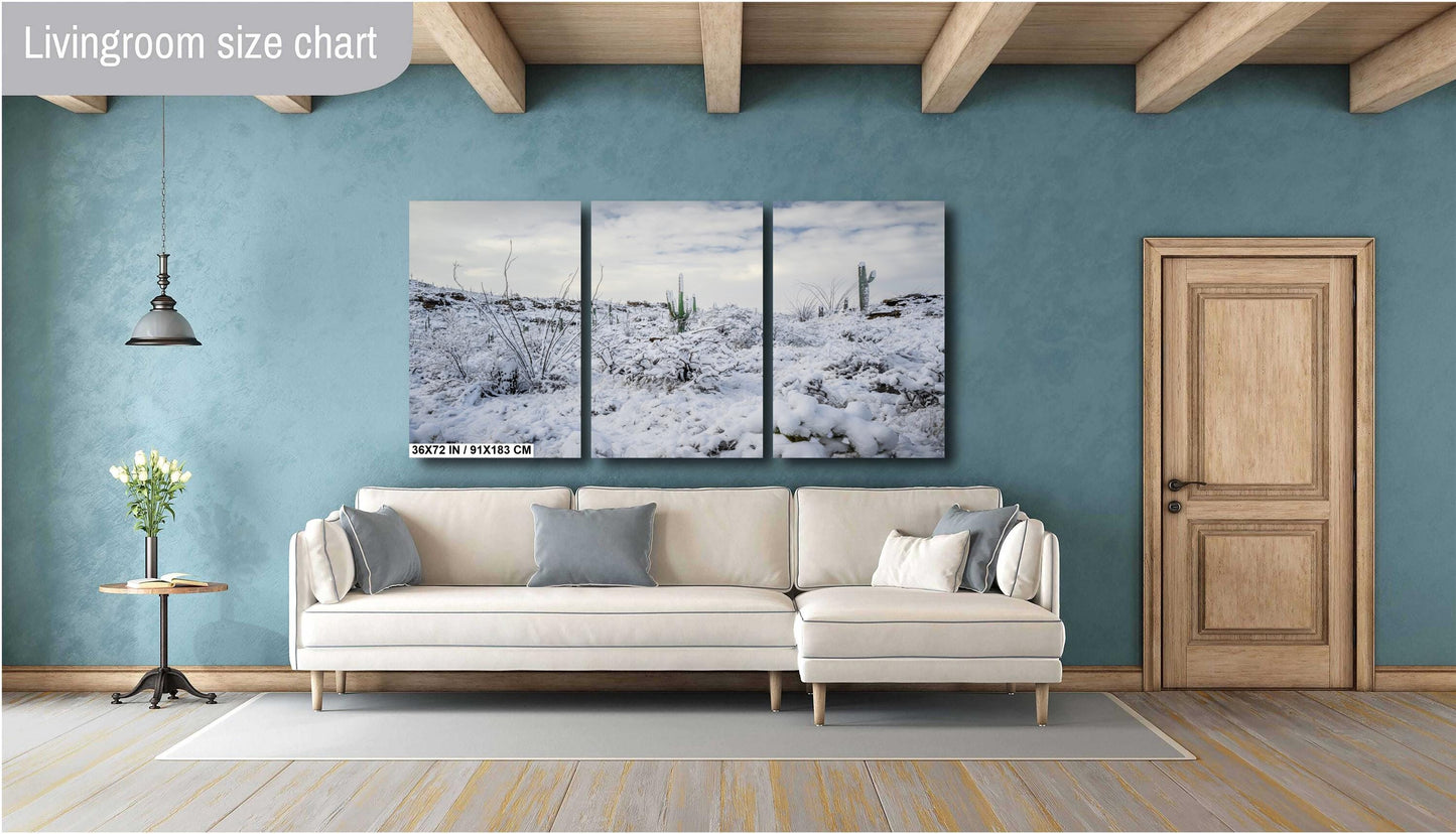 A Desert’s Frosted Moment: Saguaro National Park Print Wall Art Tucson Winter Snow Desert Photography Aluminum/Acrylic/Metal/Canvas