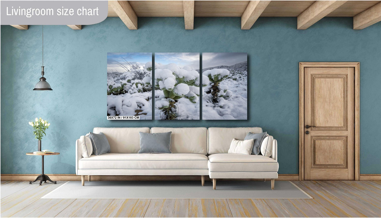 Cactus Wonderland: A Snowy Day in Arizona Saguaro National Park Tucson AZ Print Wall Art Photography Aluminum/Acrylic/Metal/Canvas