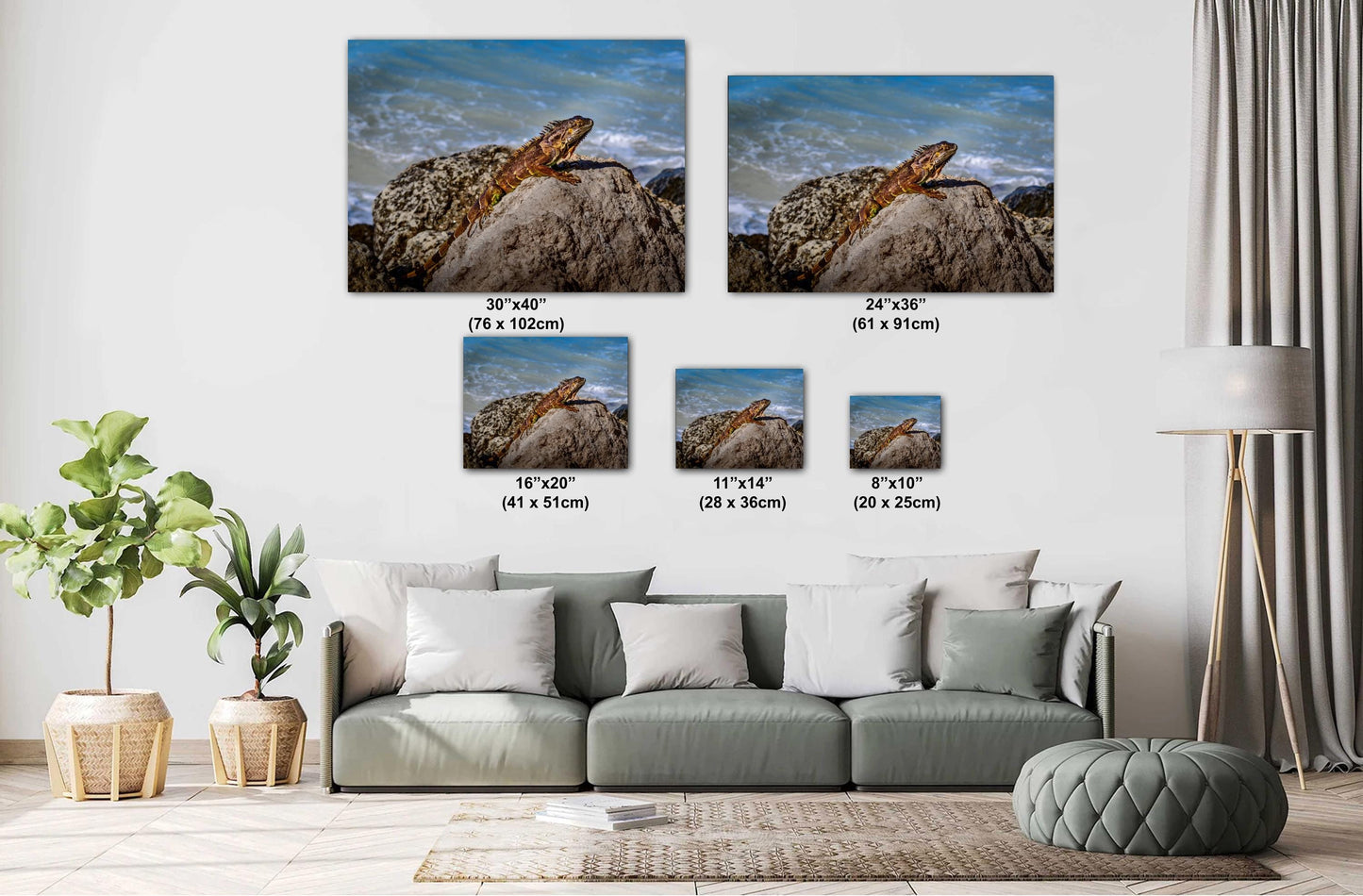 Key West Iguana on Coastal Rocks Fine Art Photography Print, Florida Wildlife Photo, Ocean Shore Nature Decor Reptile Wall Art Metal Canvas