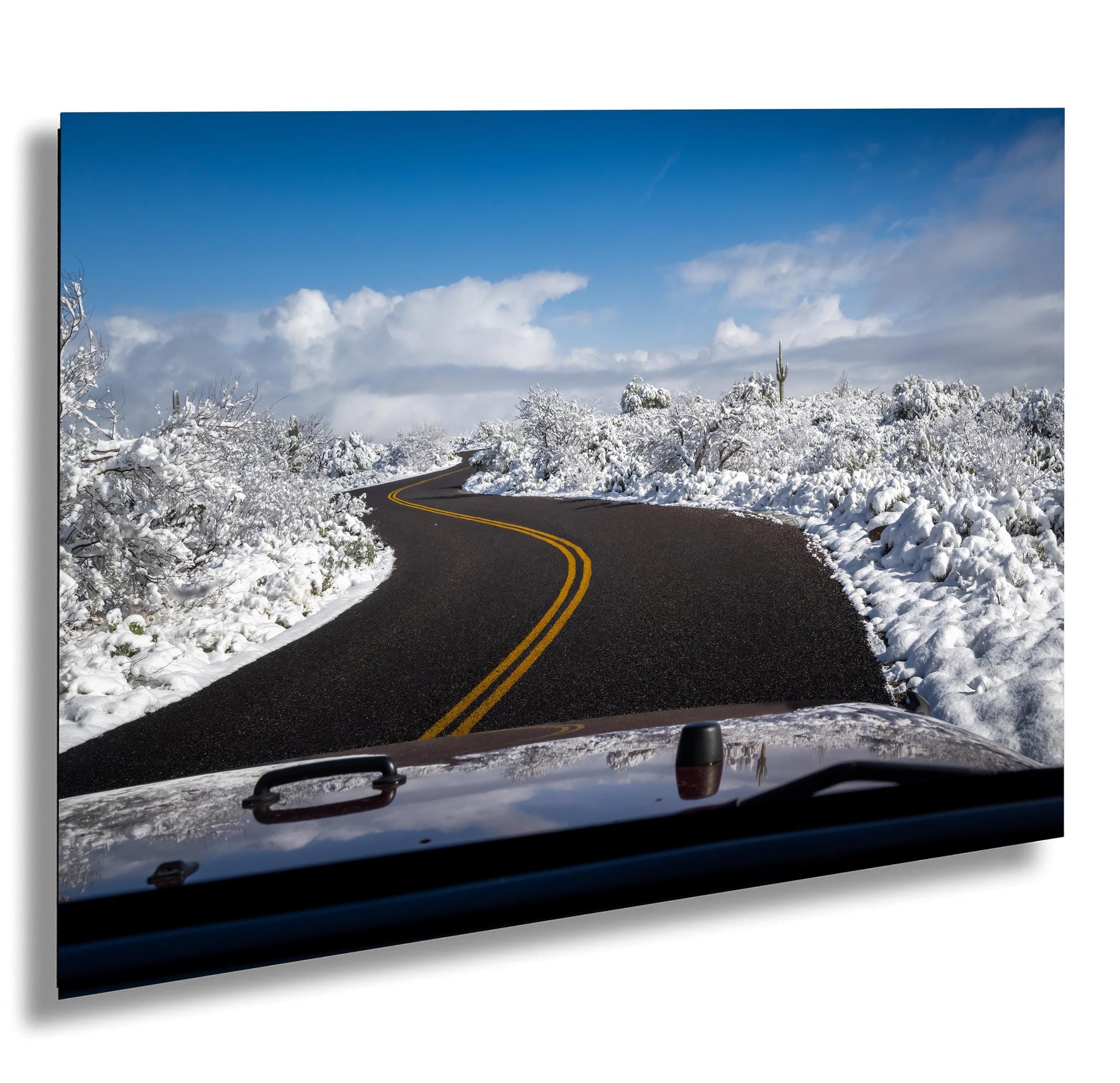 Snow-covered desert road in Saguaro National Park with cacti and a clear blue sky.