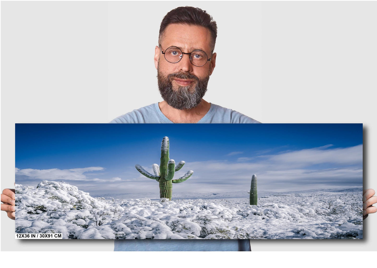 Snow-Crowned Cactus at the Saguaro National Park Tucson Arizona Print Wall Art Photography Aluminum/Acrylic/Metal/Canvas