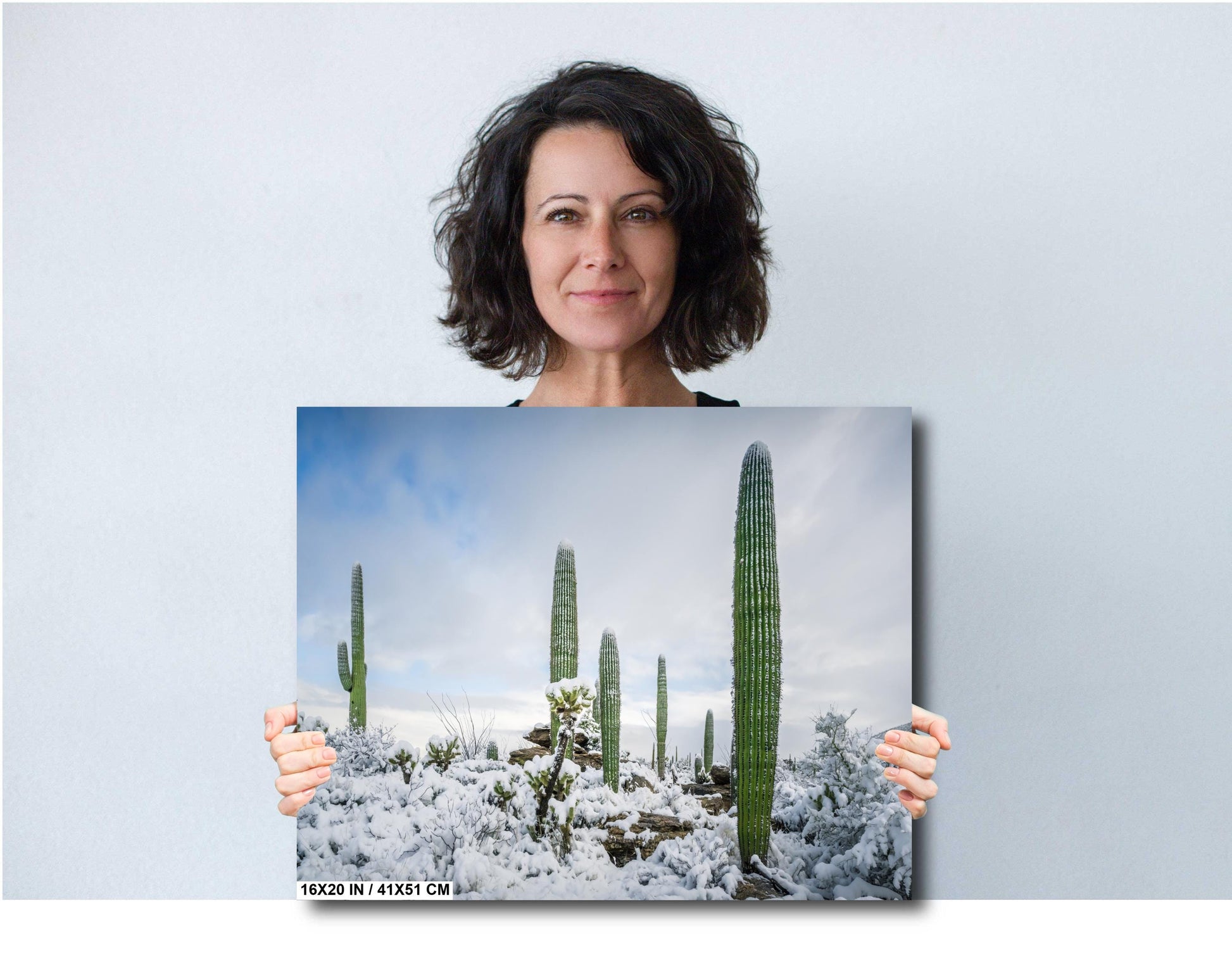 Snow-covered saguaro cacti in Arizona desert, showcasing a rare winter scene with fresh powdery snow.