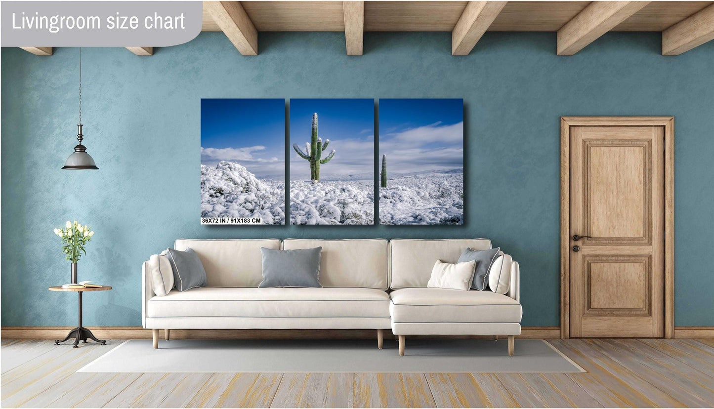 Snow-Crowned Cactus at the Saguaro National Park Tucson Arizona Print Wall Art Photography Aluminum/Acrylic/Metal/Canvas