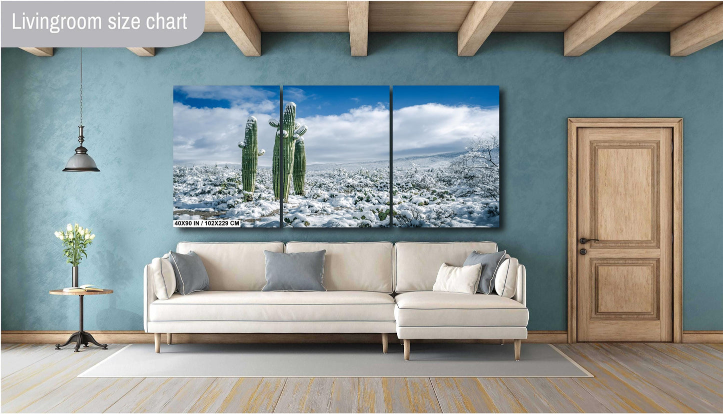 Cactus Kids Playing In The Desert Snow: Snow-Capped Saguaro National Park Tucson Arizona Print Wall Art Photography Acrylic/Metal/Canvas