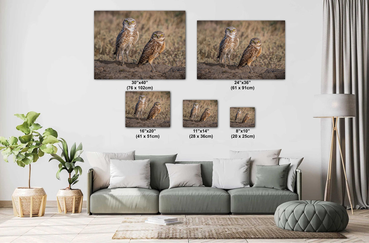 Burrowing Owls Pair Badlands National Park South Dakota Wildlife Photo Print, Nature Wall Art Decor Bird Wildlife Photography Metal Canvas