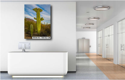 All Hail King Cacti! Giant Saguaro Cactus Tucson Mountain Park Arizona Wall Art Print Arizona Desert  Southwestern Aluminum/Metal/Canvas
