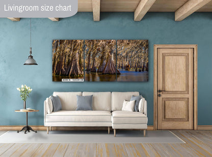 Lake Martin Louisiana Cypress Swamp Trees