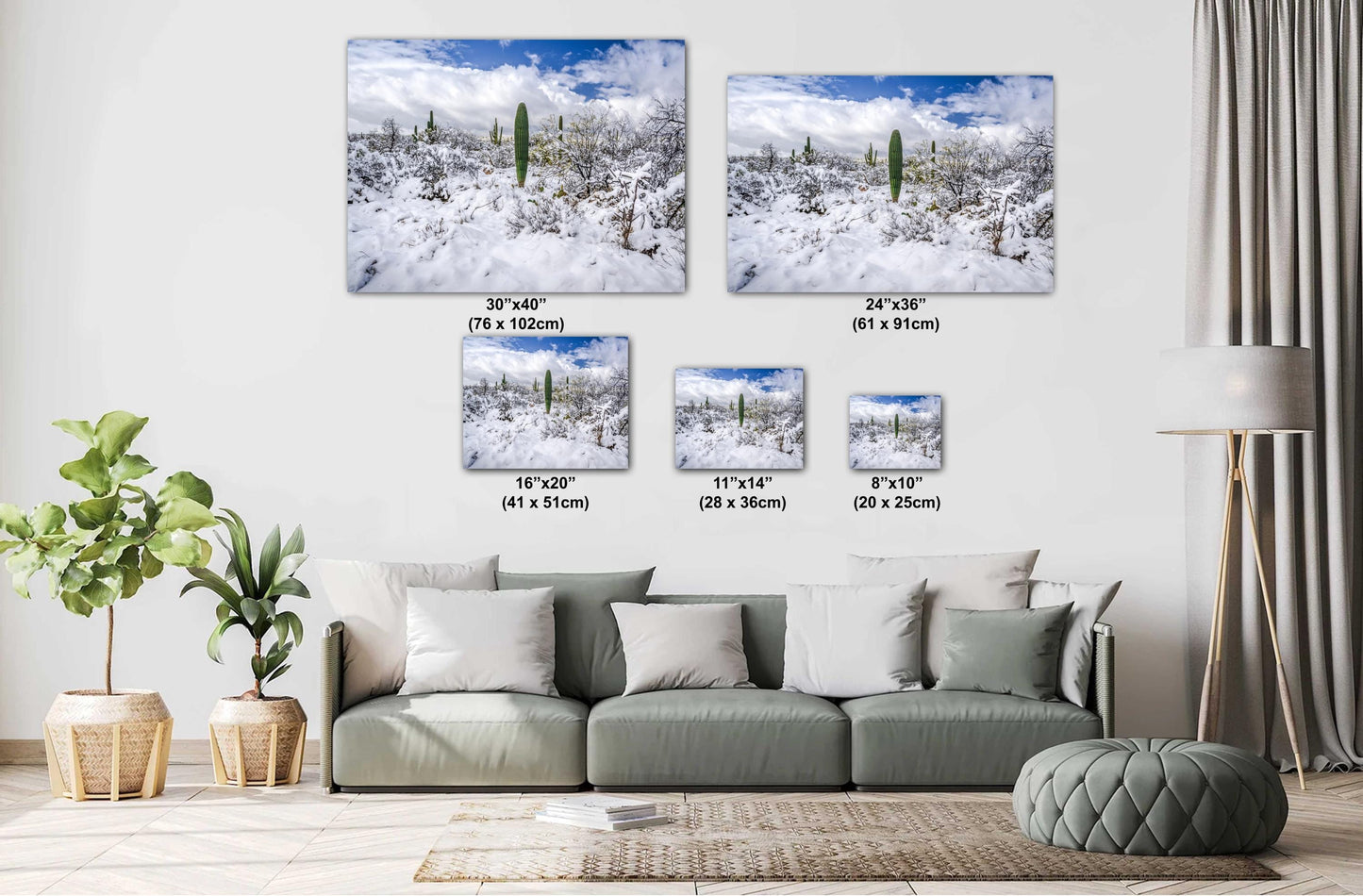 Winter’s Charm in the Desert: Saguaro National Park Print Wall Art Tucson Winter Snow Desert Photography Aluminum/Acrylic/Metal/Canvas