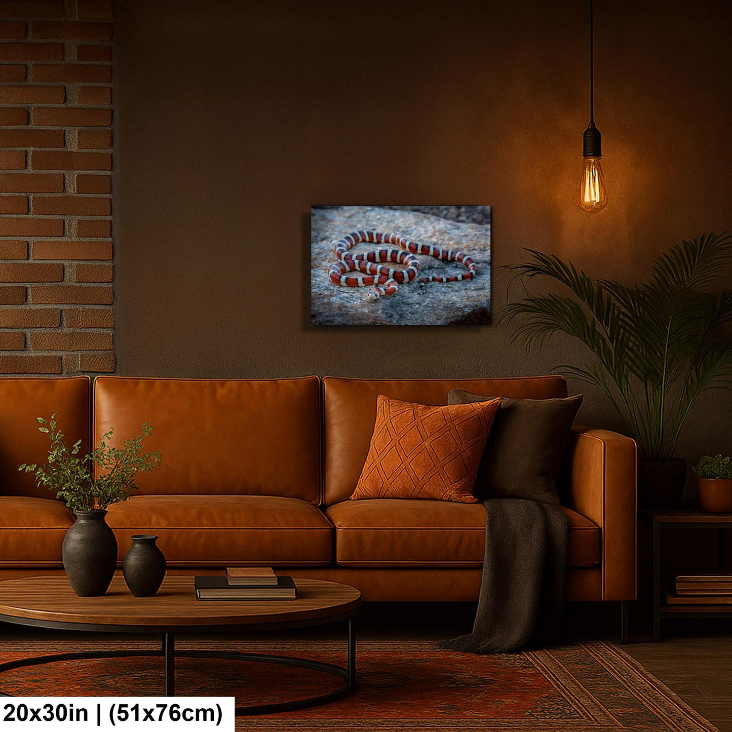 Arizona Mountain Kingsnake Print – Vibrant Desert Wildlife Art Canvas