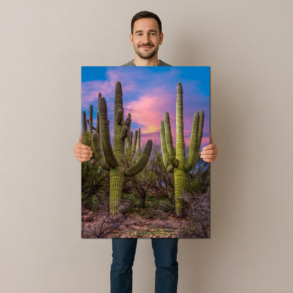 Towering Saguaros at Sunset, Catalina State Park Arizona Photography Print, Desert Landscape Wall Art