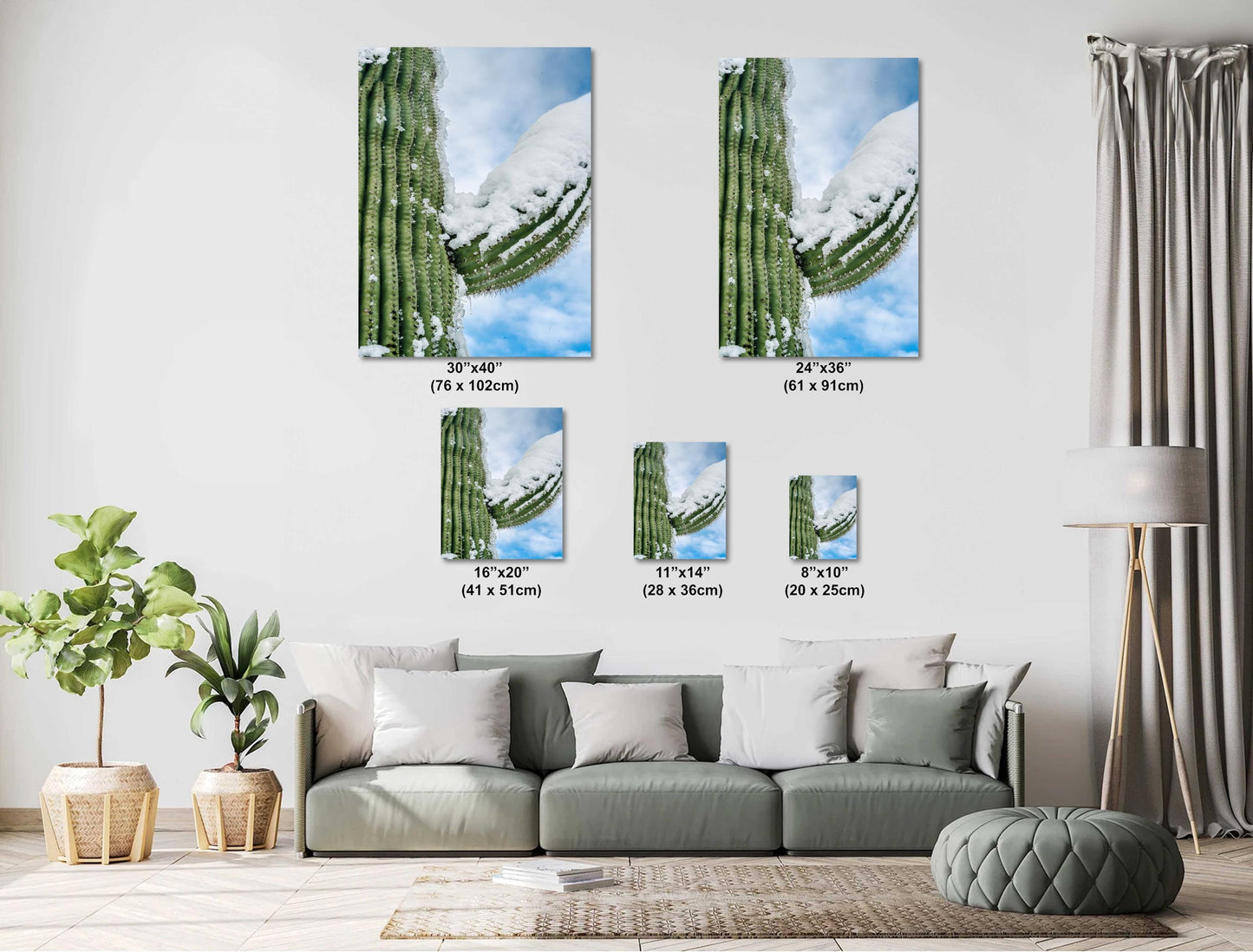 Frozen Arms of the Desert: Giant Saguaro National Park Cactus Tucson Arizona Print Wall Art Photography Aluminum/Acrylic/Metal/Canvas