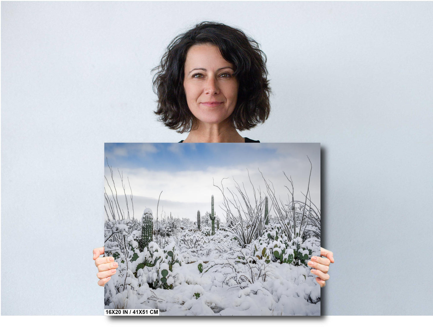 Snow-Tipped Peaks and Cactus Heights: Snow in Saguaro National Park Tucson Arizona Print Wall Art Photography Aluminum/Acrylic/Metal/Canvas