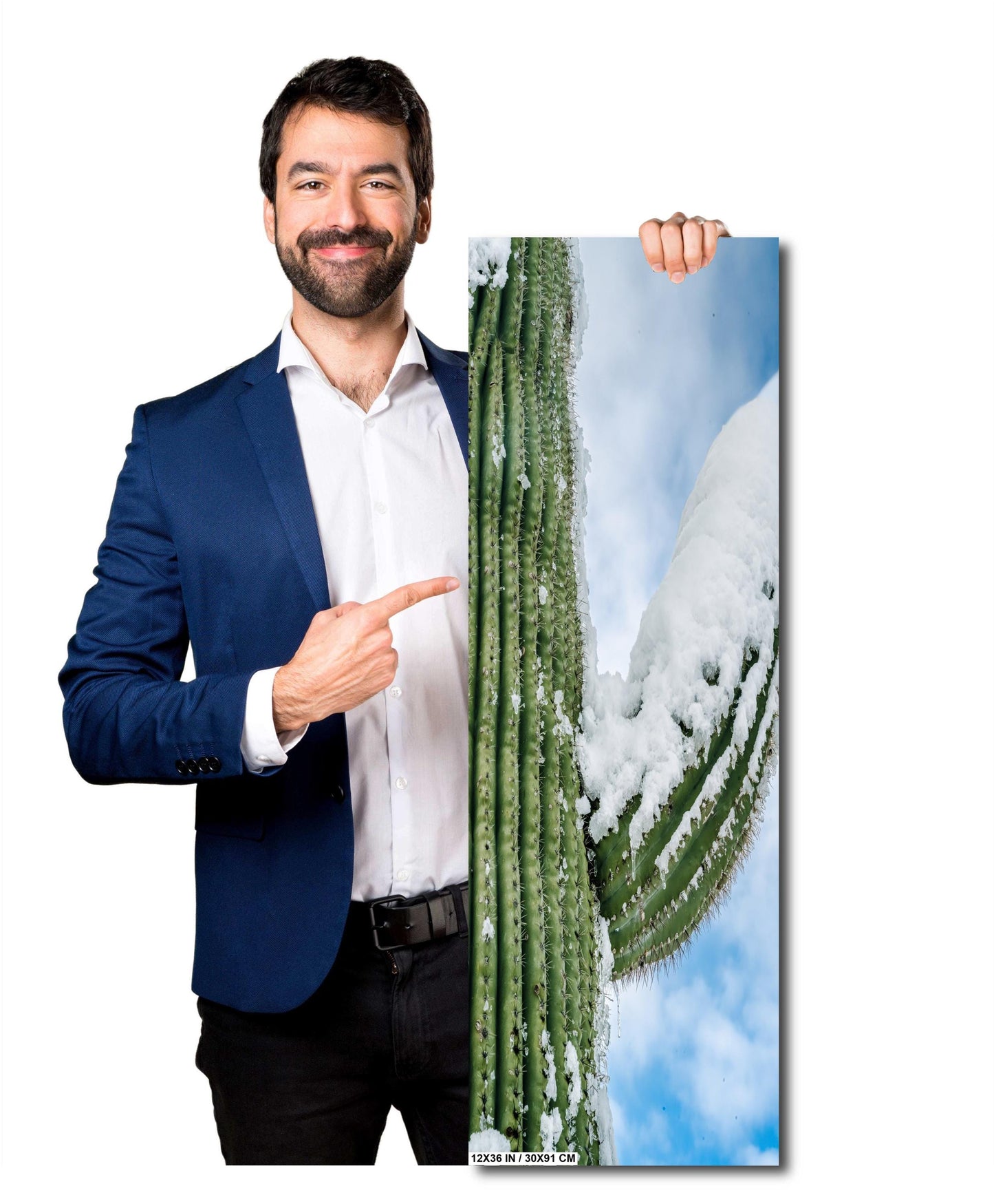 Frozen Arms of the Desert: Giant Saguaro National Park Cactus Tucson Arizona Print Wall Art Photography Aluminum/Acrylic/Metal/Canvas