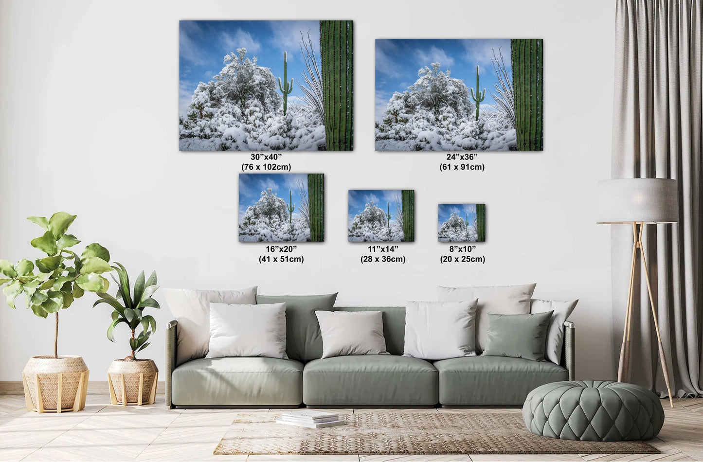 Dreaming of a White Desert Christmas: Saguaro National Park in Snow Tucson Arizona Print Wall Art Photography Aluminum/Acrylic/Metal/Canvas