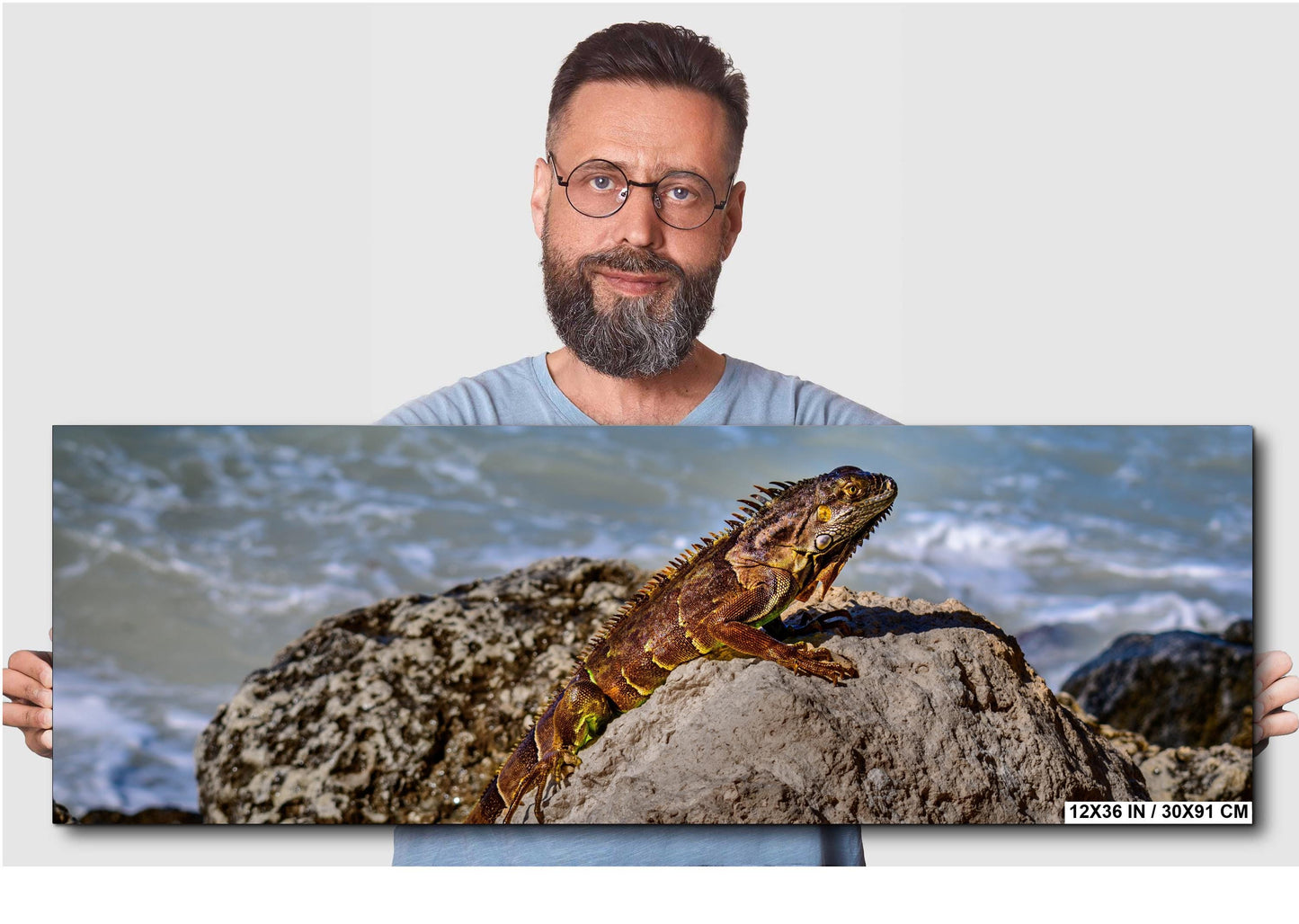 Key West Iguana on Coastal Rocks Fine Art Photography Print, Florida Wildlife Photo, Ocean Shore Nature Decor Reptile Wall Art Metal Canvas