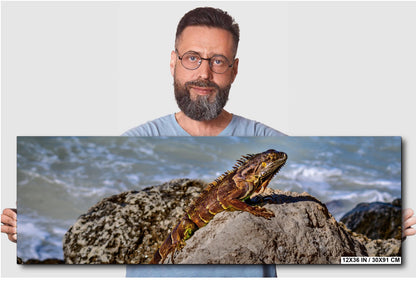Key West Iguana on Coastal Rocks Fine Art Photography Print, Florida Wildlife Photo, Ocean Shore Nature Decor Reptile Wall Art Metal Canvas