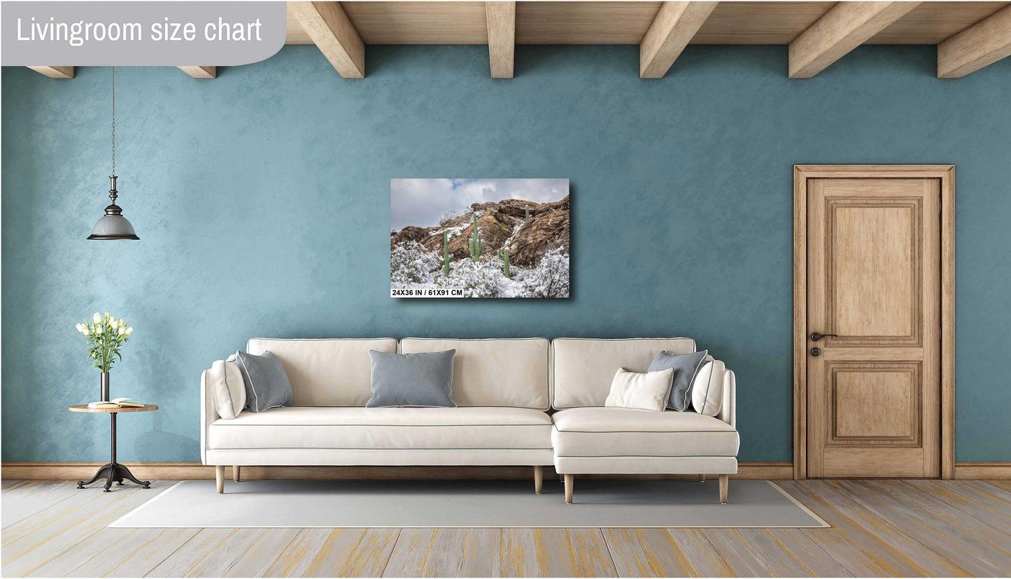 Winter’s Trio: Saguaros in Snow National Park Winter in Tucson Arizona Print Wall Art Photography Aluminum/Acrylic/Metal/Canvas