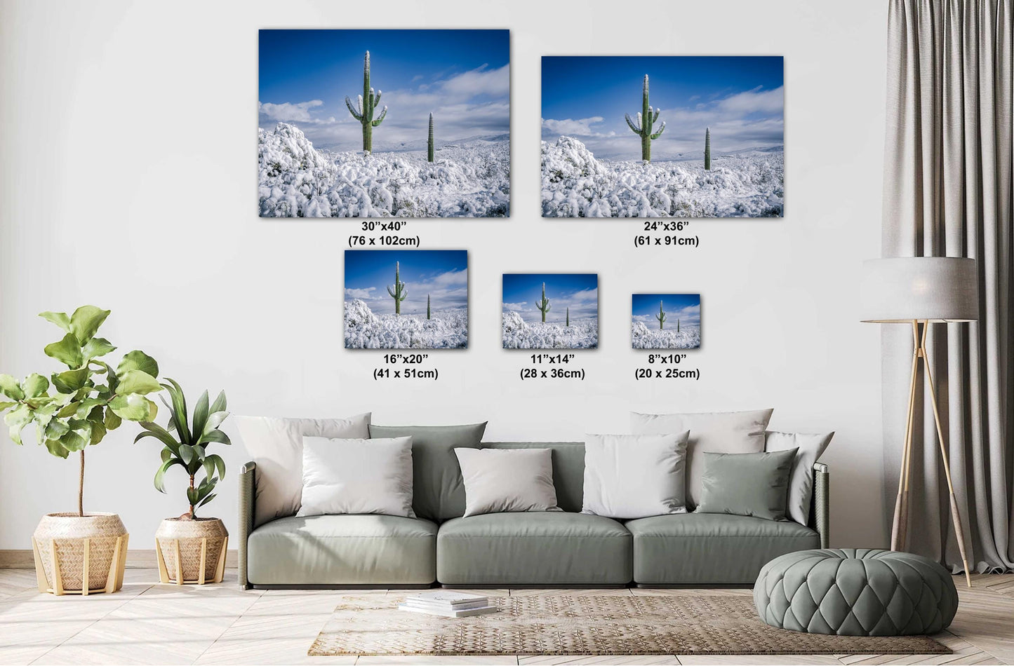 Snow-Crowned Cactus at the Saguaro National Park Tucson Arizona Print Wall Art Photography Aluminum/Acrylic/Metal/Canvas