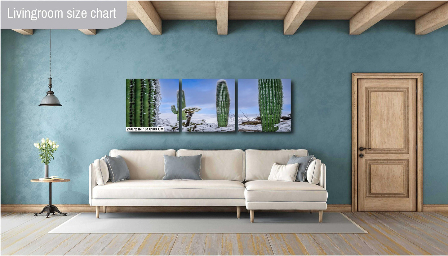 Snow-Draped Tall Cactus: Saguaro National Park Tucson Arizona Print Wall Art Photography Aluminum/Acrylic/Metal/Canvas