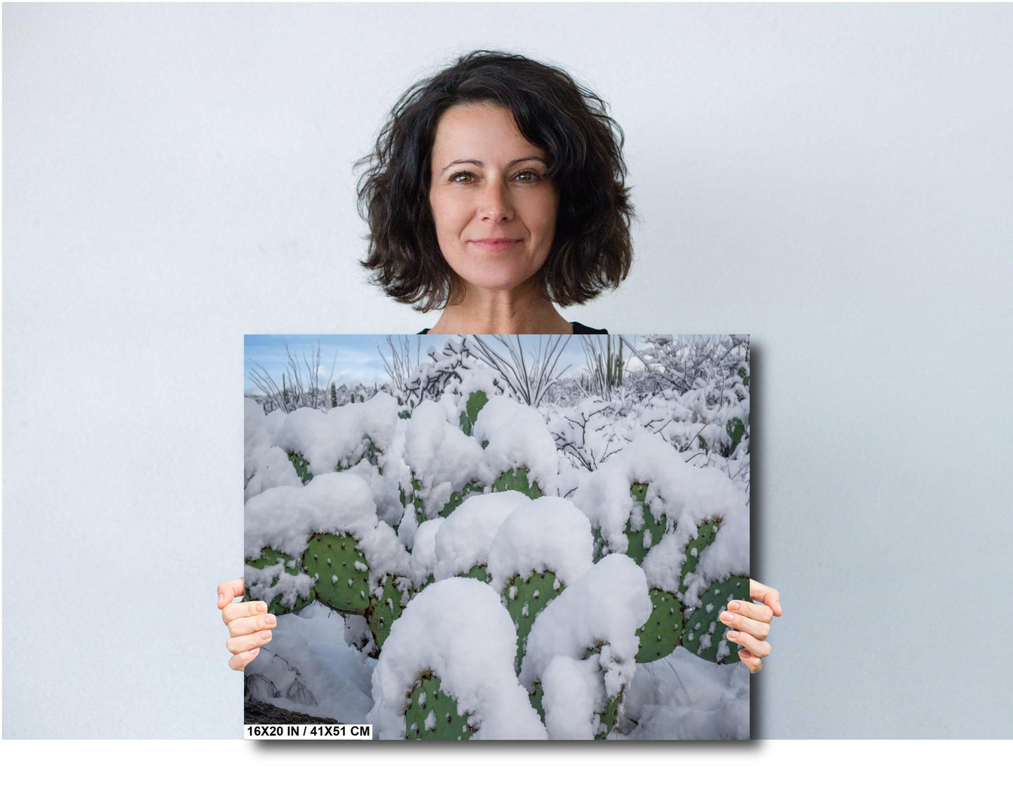 Snow-covered prickly pear cacti in Saguaro National Park, Arizona, showcasing rare desert winter beauty.