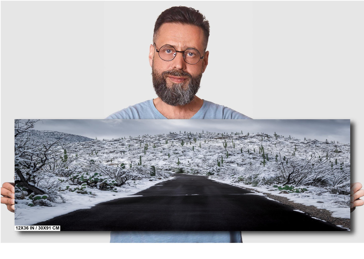 Snow-covered desert road in Saguaro National Park, Arizona, with snowy saguaro cacti lining the path.