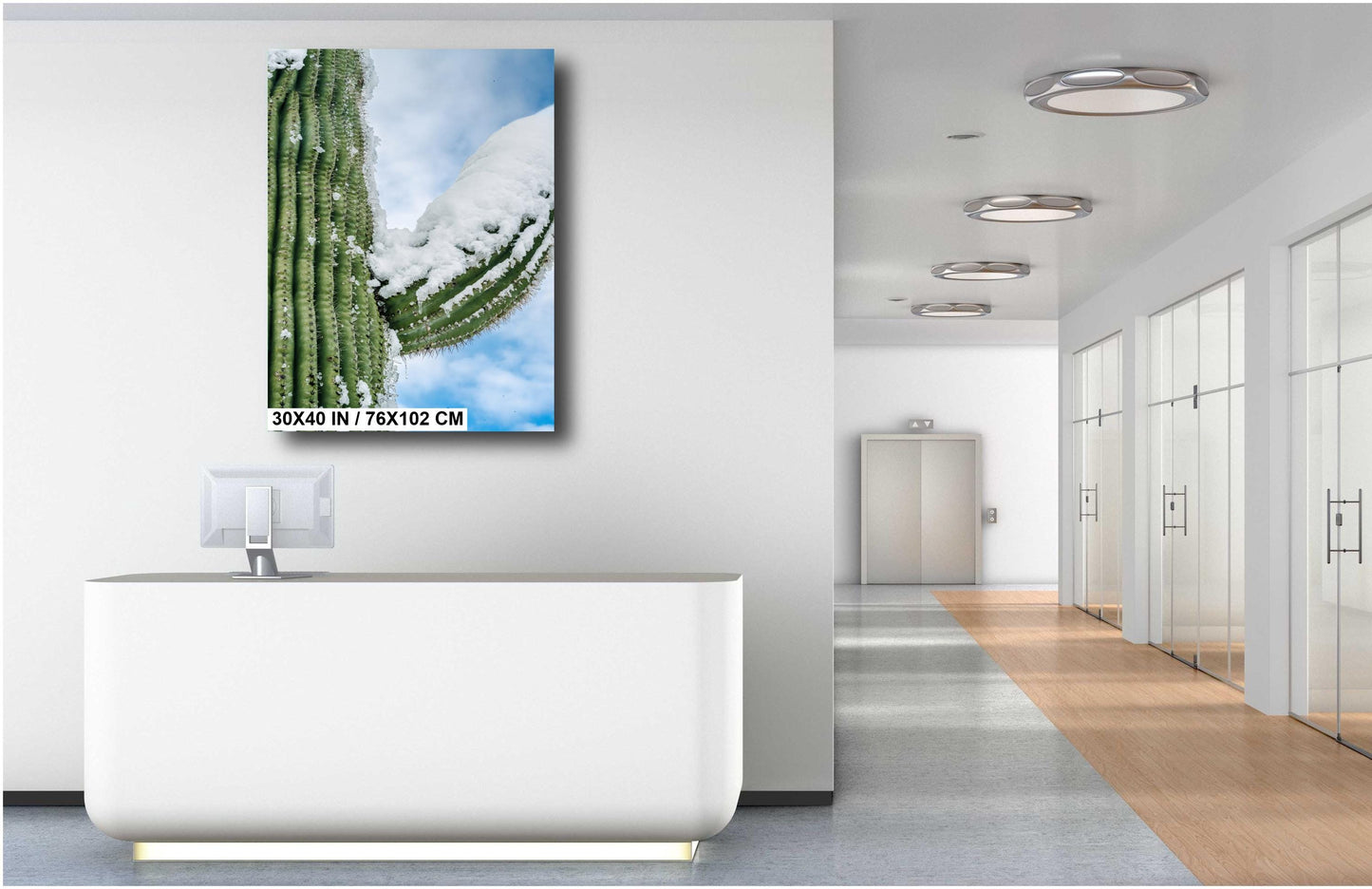 Frozen Arms of the Desert: Giant Saguaro National Park Cactus Tucson Arizona Print Wall Art Photography Aluminum/Acrylic/Metal/Canvas