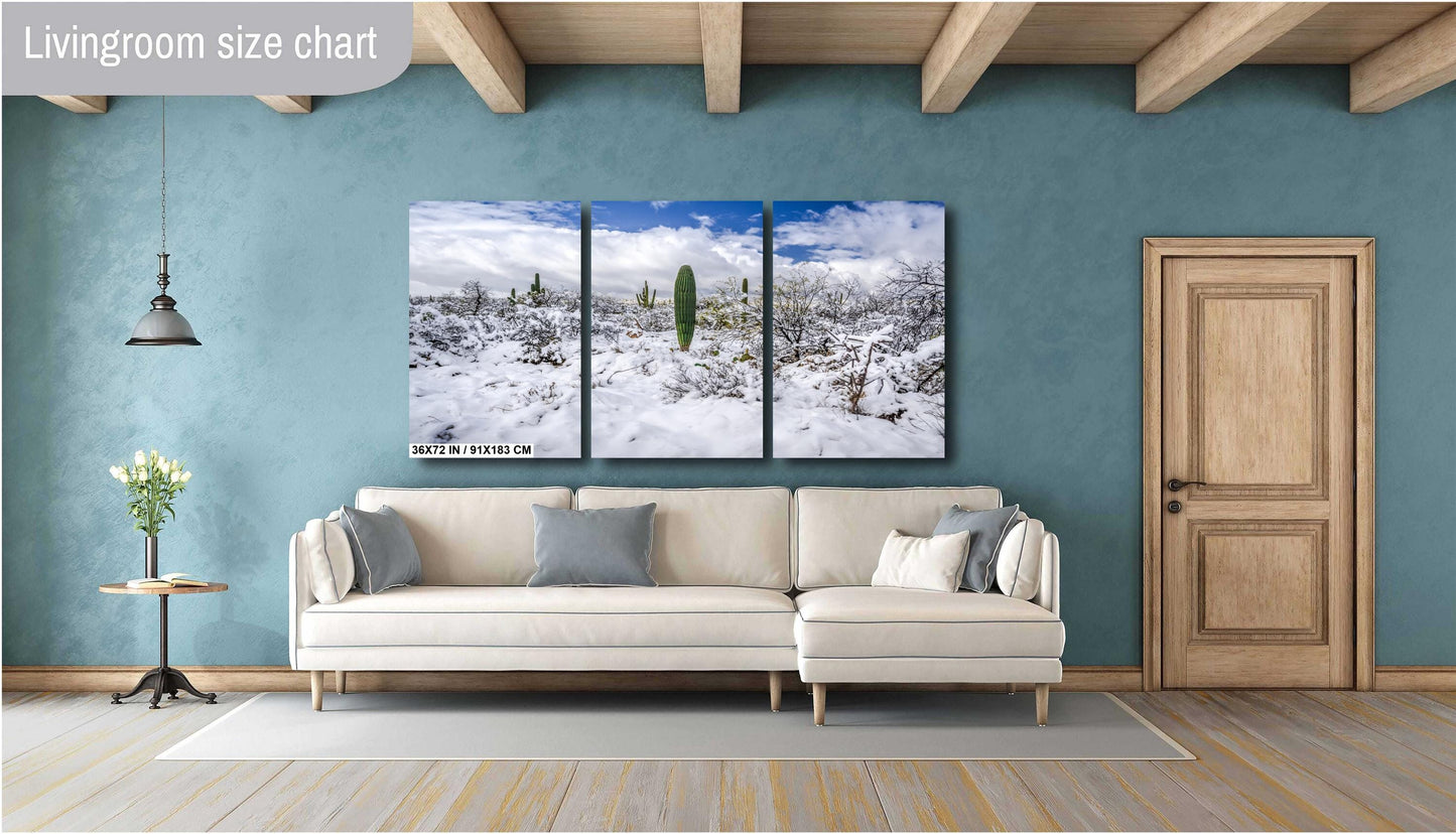 Winter’s Charm in the Desert: Saguaro National Park Print Wall Art Tucson Winter Snow Desert Photography Aluminum/Acrylic/Metal/Canvas