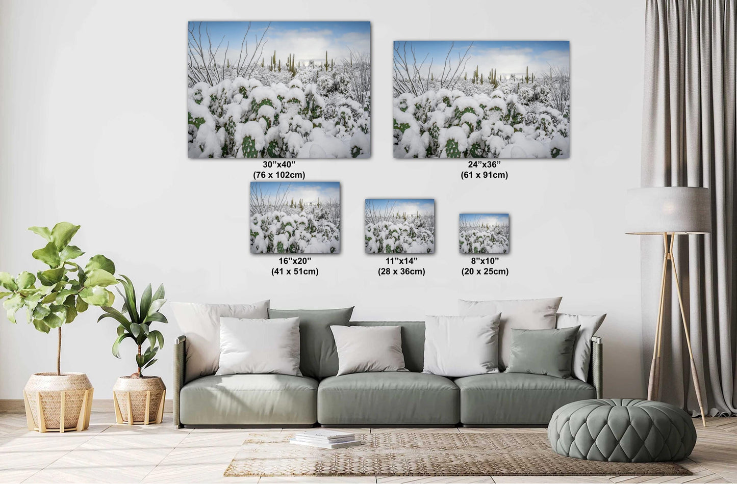 Prickly Pear Cacti in the Cold: Snowfall at Saguaro National Park Print Wall Art Tucson Winter Snow Desert Aluminum/Acrylic/Metal/Canvas