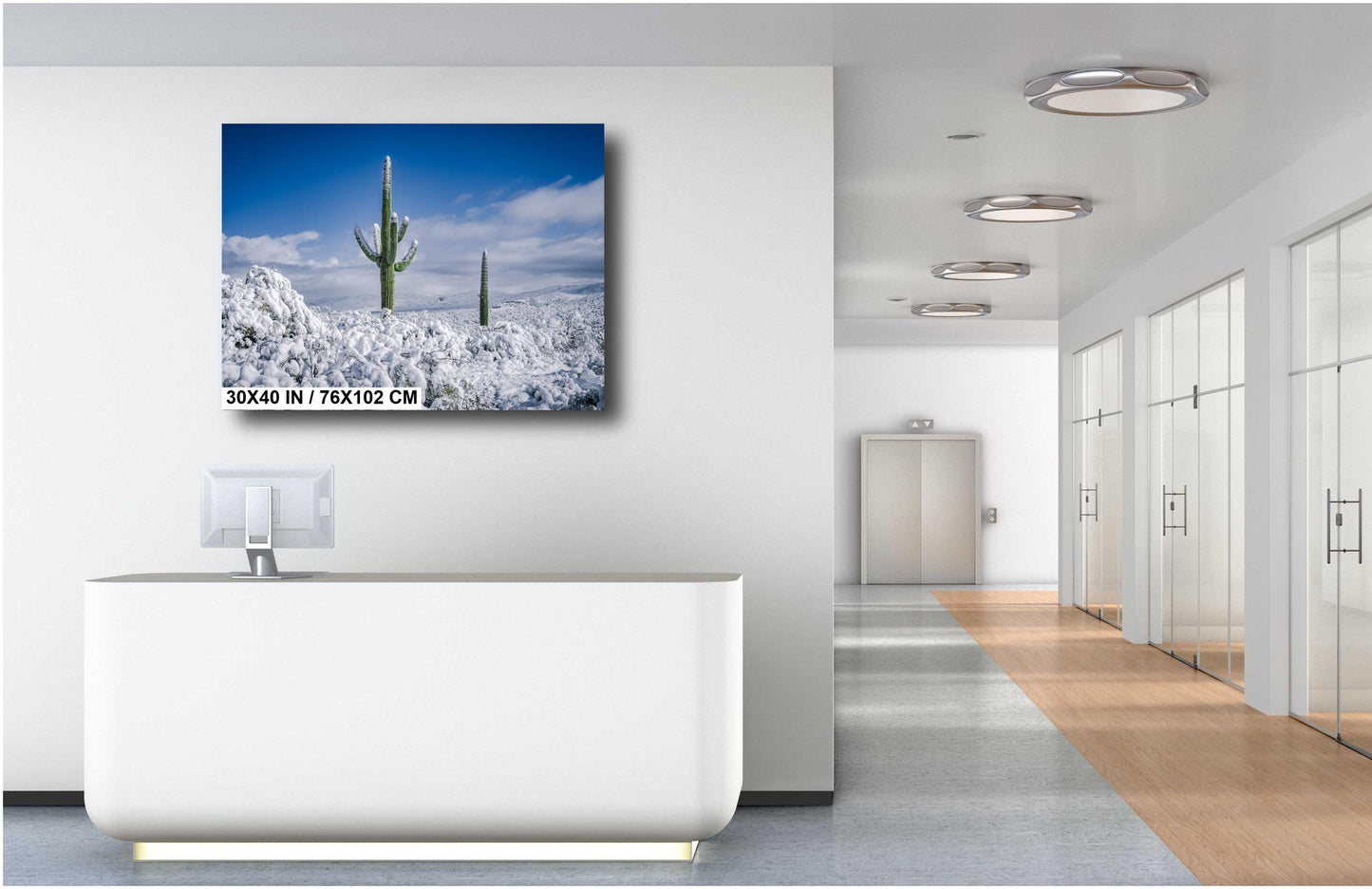 Snow-Crowned Cactus at the Saguaro National Park Tucson Arizona Print Wall Art Photography Aluminum/Acrylic/Metal/Canvas