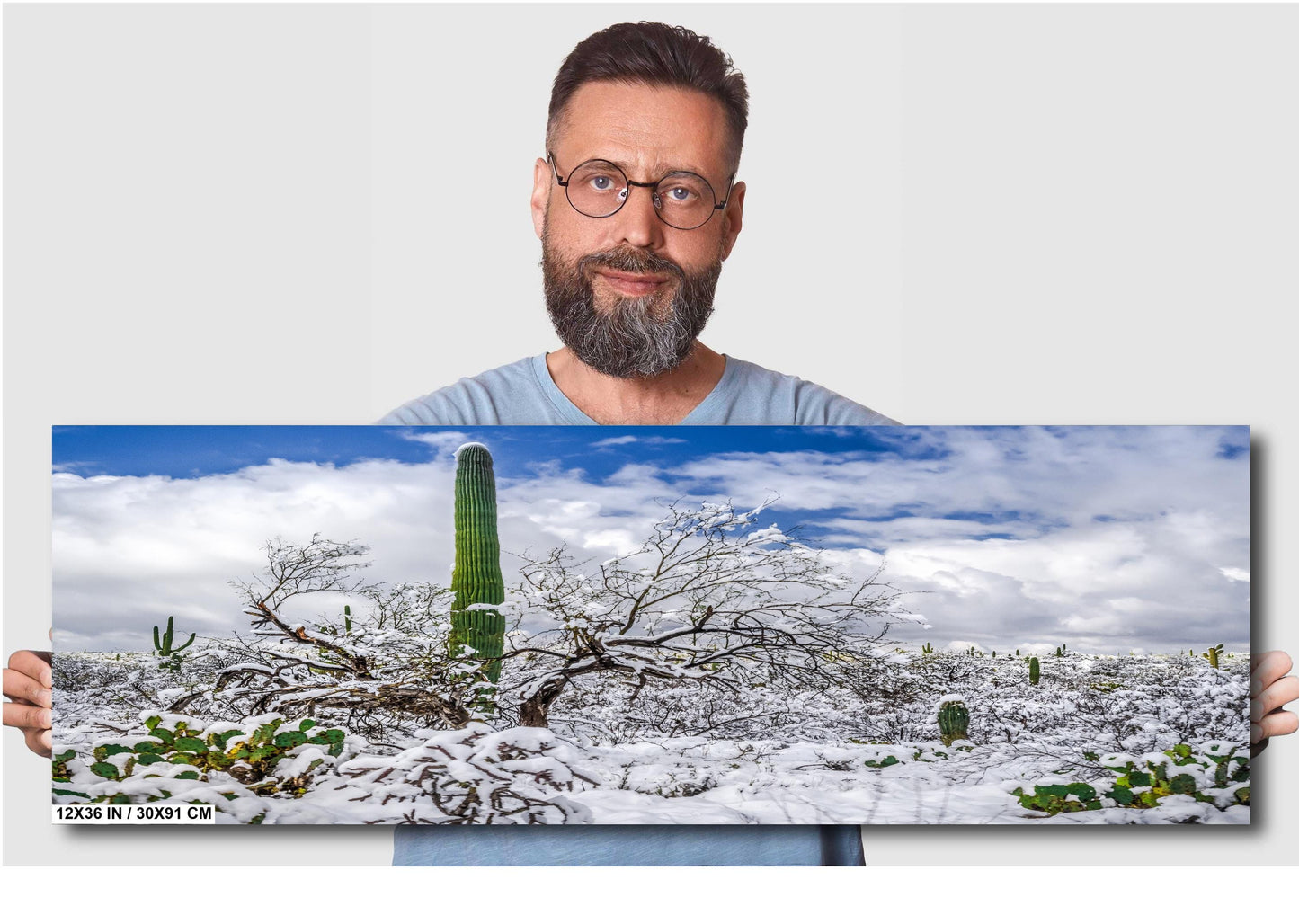 Saguaro Standing Tall in Winter’s Embrace: Saguaro National Park Print Wall Art Tucson Snow Desert Photography Aluminum/Acrylic/Metal/Canvas