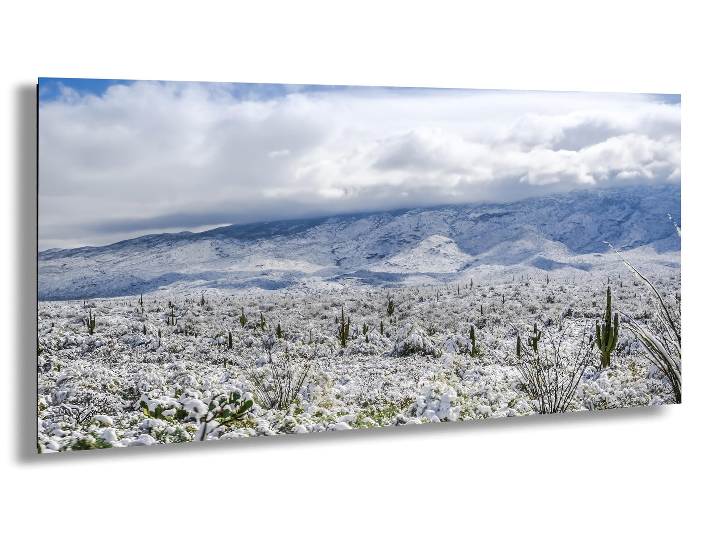 Winter’s Touch on the Desert Landscape: Saguaro National Park Print Wall Art Tucson Winter Snow Photography Aluminum/Acrylic/Metal/Canvas