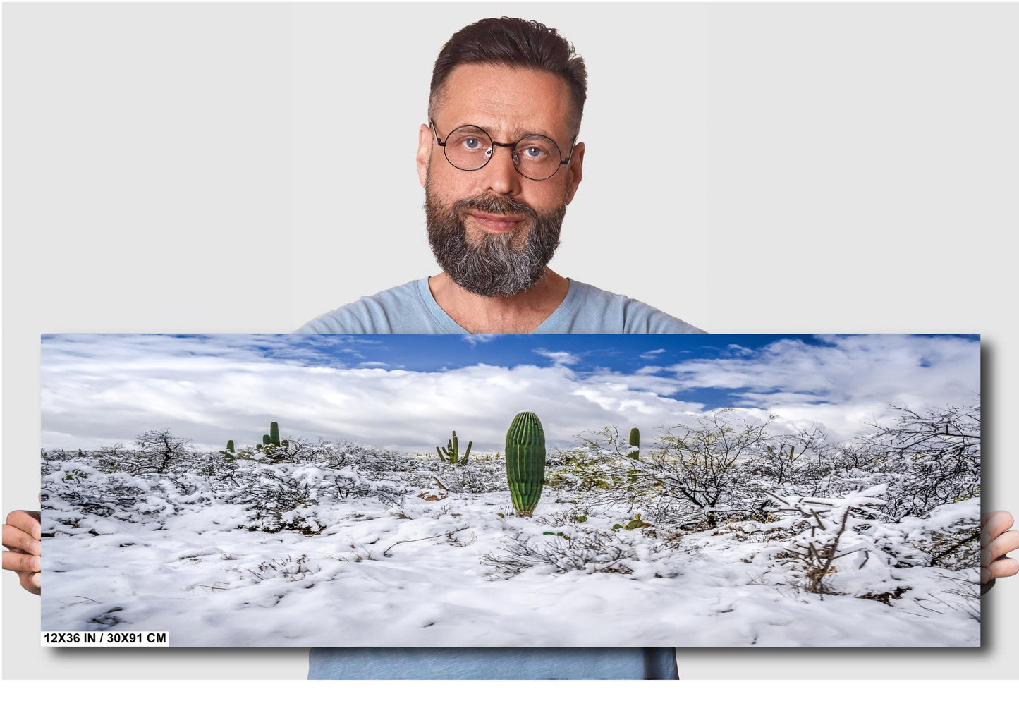 Winter’s Charm in the Desert: Saguaro National Park Print Wall Art Tucson Winter Snow Desert Photography Aluminum/Acrylic/Metal/Canvas