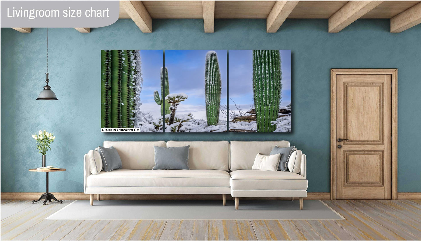 Snow-Draped Tall Cactus: Saguaro National Park Tucson Arizona Print Wall Art Photography Aluminum/Acrylic/Metal/Canvas