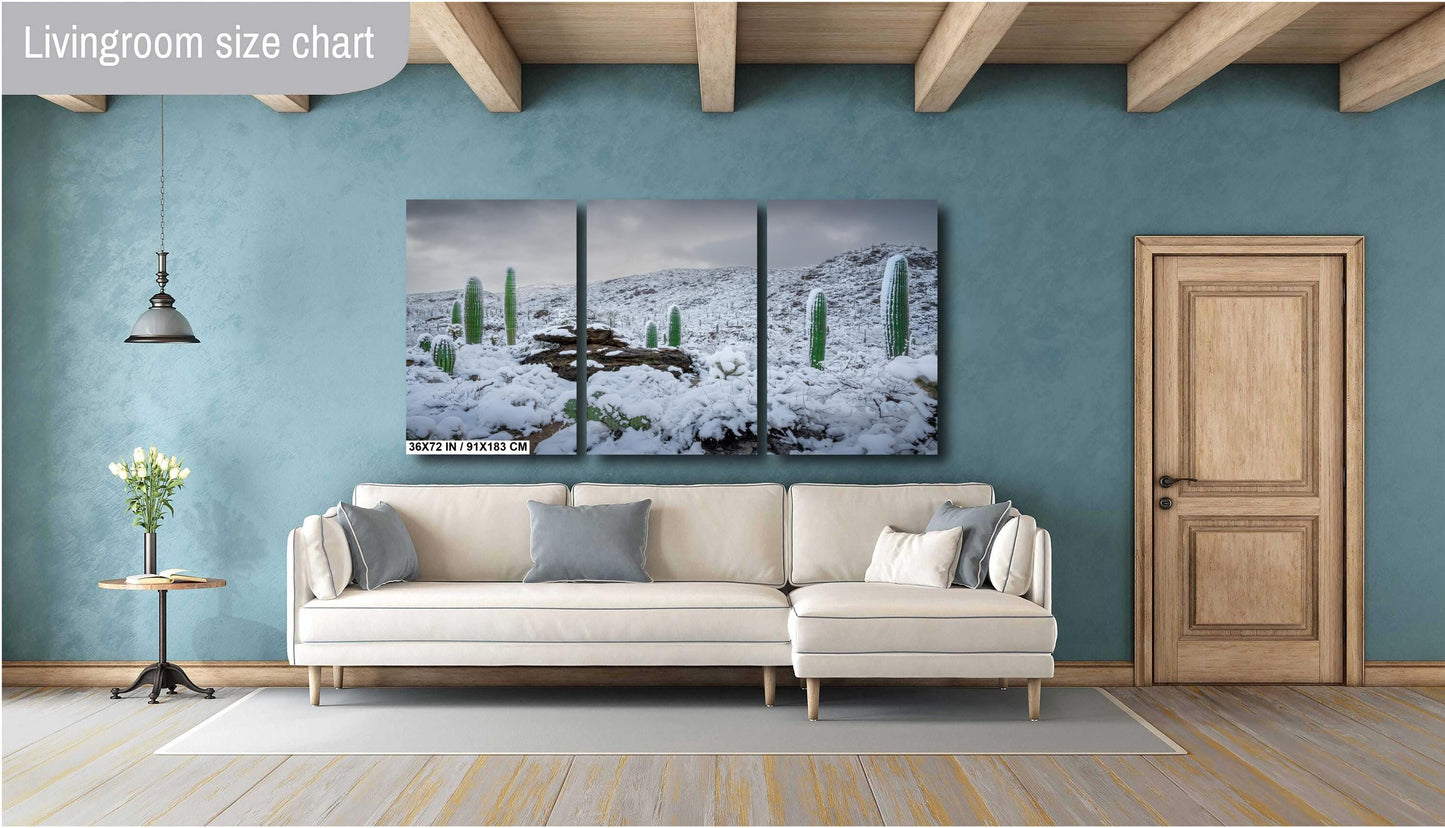 Snow-covered saguaro cacti in Arizona&#39;s desert, showcasing a rare winter scene with mountains in the background.