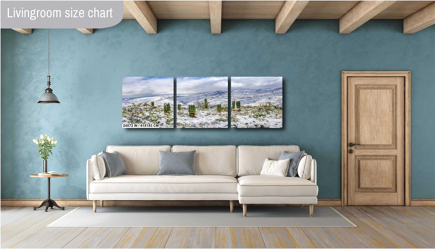 Saguaro Guardians of the Frosted Canyon: Saguaro National Park Print Wall Art Tucson Winter Snow Desert Aluminum/Acrylic/Metal/Canvas