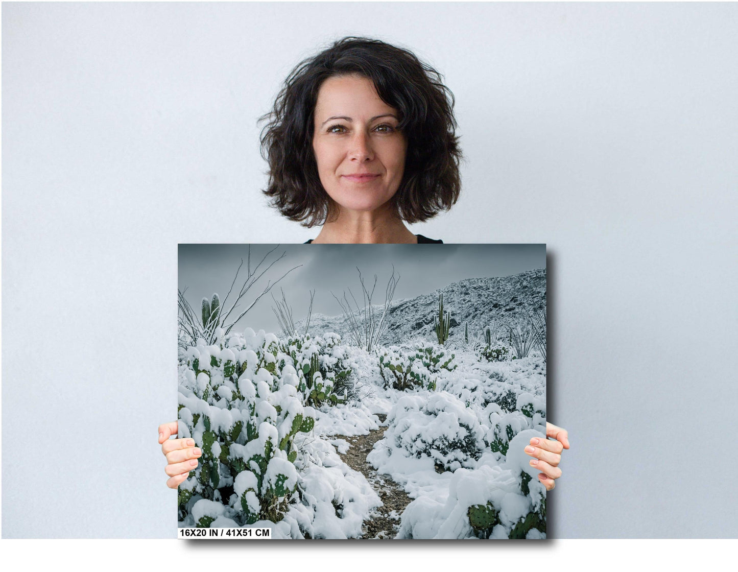 Hiking Trail Through The Snowy Cactus: Saguaro National Park Tucson Arizona Print Wall Art Photography Aluminum/Acrylic/Metal/Canvas