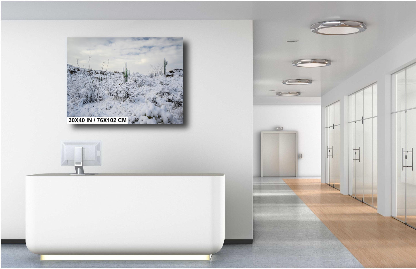 A Desert’s Frosted Moment: Saguaro National Park Print Wall Art Tucson Winter Snow Desert Photography Aluminum/Acrylic/Metal/Canvas