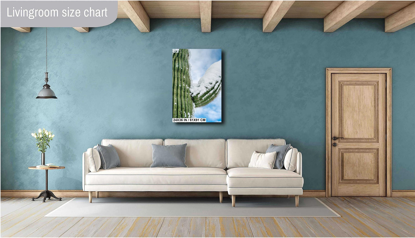 Frozen Arms of the Desert: Giant Saguaro National Park Cactus Tucson Arizona Print Wall Art Photography Aluminum/Acrylic/Metal/Canvas